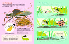 Alternative view 3 of It's Tough to Be Tiny: The Secret Life of Small Creatures
