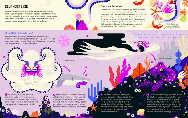 Obsessive About Octopuses