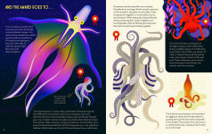 Alternative view 3 of Obsessive About Octopuses