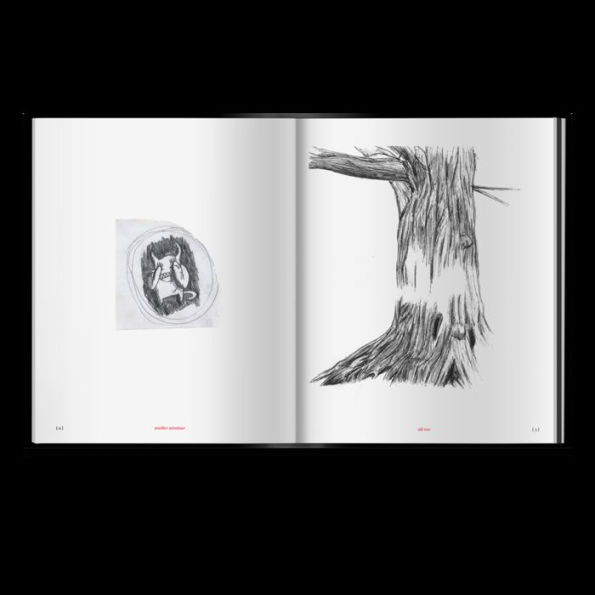 Kid A Mnesia: A Book of Radiohead Artwork