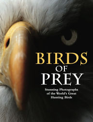 Free ebook downloads for computer Birds of Prey: Stunning Photographs of the World's Great Hunting Birds (English literature) 9781838860950 by  MOBI iBook PDB