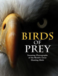 Title: Birds of Prey: Stunning Photographs of the World's Great Hunting Birds, Author: Tom Jackson