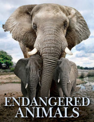 Best download books Endangered Animals RTF ePub FB2