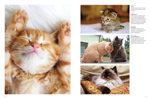 Cats: A Celebration of Our Feline Friends