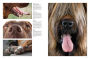 Alternative view 3 of Dogs: A Celebration of Our Canine Friends