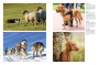 Alternative view 4 of Dogs: A Celebration of Our Canine Friends