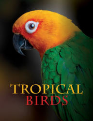 Title: Tropical Birds, Author: Tom Jackson