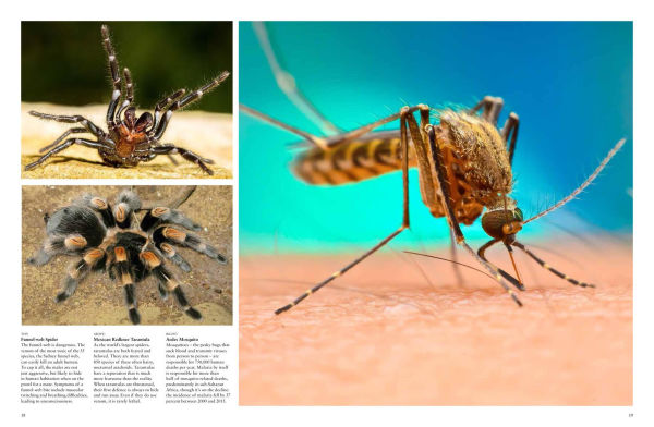 Dangerous Animals: The World's Most Deadly Creatures
