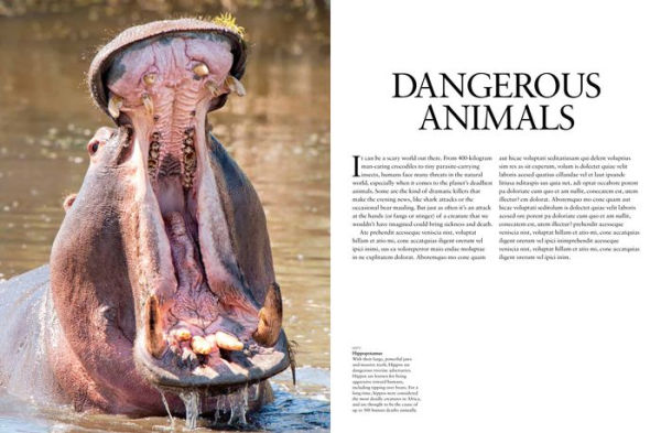 Dangerous Animals: The World's Most Deadly Creatures