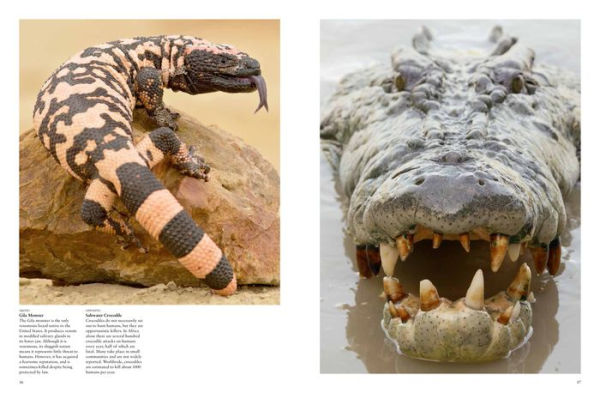Dangerous Animals: The World's Most Deadly Creatures