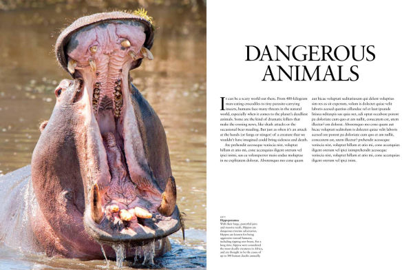 Dangerous Animals: The World's Most Deadly Creatures