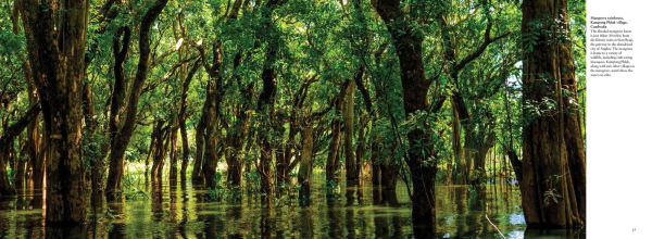 The Wild: The World's Most Spectacular Untamed Places