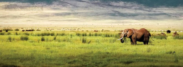 The Wild: The World's Most Spectacular Untamed Places