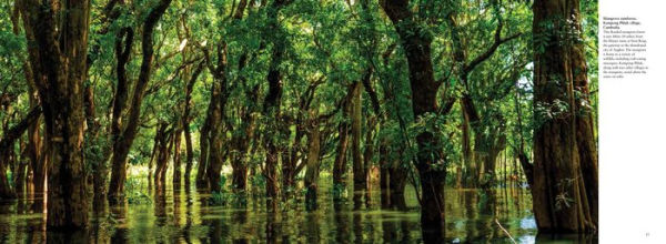 The Wild: The World's Most Spectacular Untamed Places