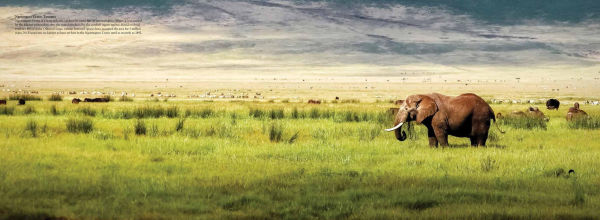 The Wild: The World's Most Spectacular Untamed Places