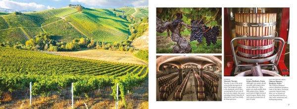 Farming: Growing the Food That Feeds Us