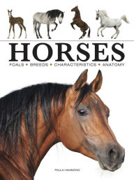 Title: Horses, Author: Paula Hammond