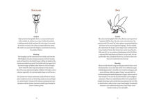 Alternative view 2 of Ancient Egyptian Hieroglyphs Illustrated: A Formal Writing System Used in Ancient Egypt
