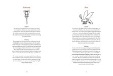 Alternative view 9 of Ancient Egyptian Hieroglyphs Illustrated: A Formal Writing System Used in Ancient Egypt