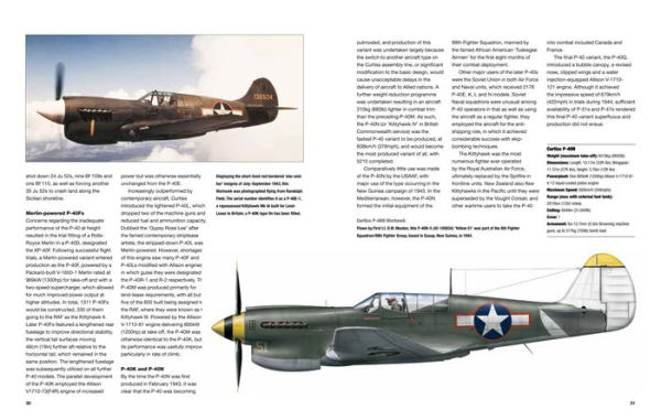 American Fighter Aircraft of World War II