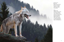 Alternative view 8 of Wolves
