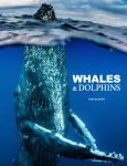 Alternative view 1 of Whales & Dolphins