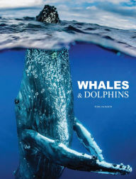 Title: Whales & Dolphins, Author: Tom Jackson