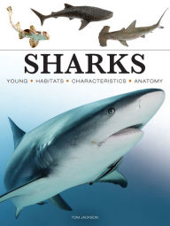 Free books online download audio Sharks by Tom Jackson in English 9781838864439 PDB CHM RTF