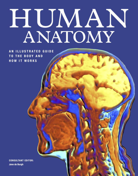 Human Anatomy