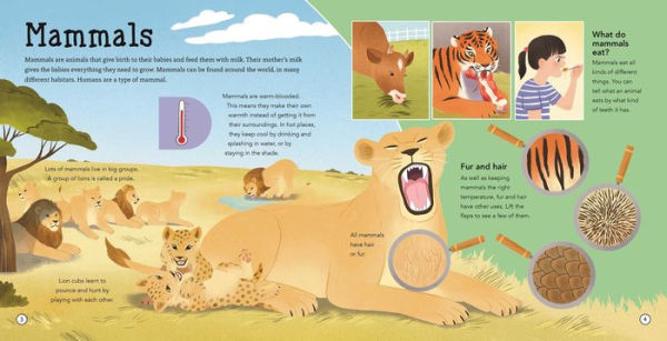 Amazing Animals: Lift-the-Flap Fact Book