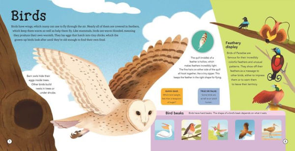 Amazing Animals: Lift-the-Flap Fact Book