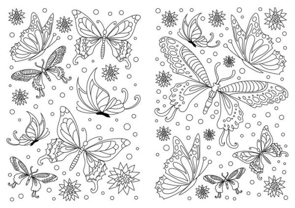 Butterflies and Birds: Inspriational Coloring Book for Adults