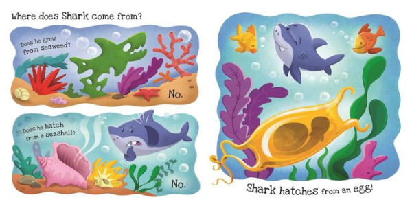 What Does Shark Like?: Touch & Feel Board Book