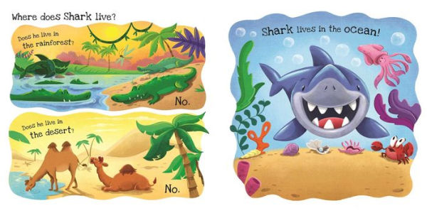 What Does Shark Like?: Touch & Feel Board Book