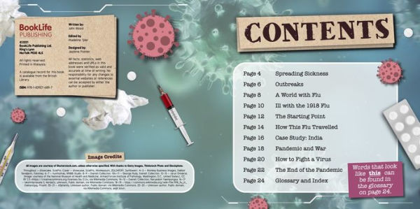 Outbreaks - 1918 Flu Pandemic