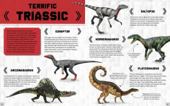 Alternative view 7 of Master Builder: Minecraft Dinosaurs (Independent & Unofficial): Create fearsome dinosaurs in Minecraft