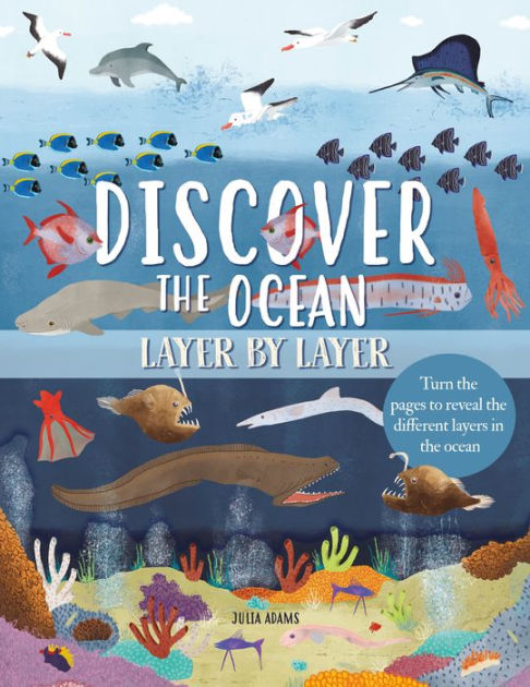 Discover the Ocean Layer By Layer: Turn the Pages to Reveal Different ...