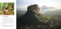 Alternative view 3 of Rainforest Endangered