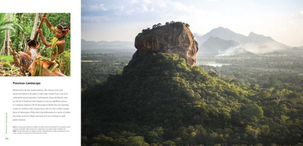 Rainforest Endangered