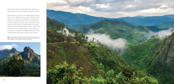 Rainforest Endangered