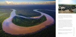 Alternative view 5 of Rainforest Endangered