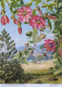 Alternative view 2 of Adult Jigsaw Puzzle Kew: Marianne North: View in the Brisbane Botanic Garden (500 pieces): 500-piece Jigsaw Puzzles