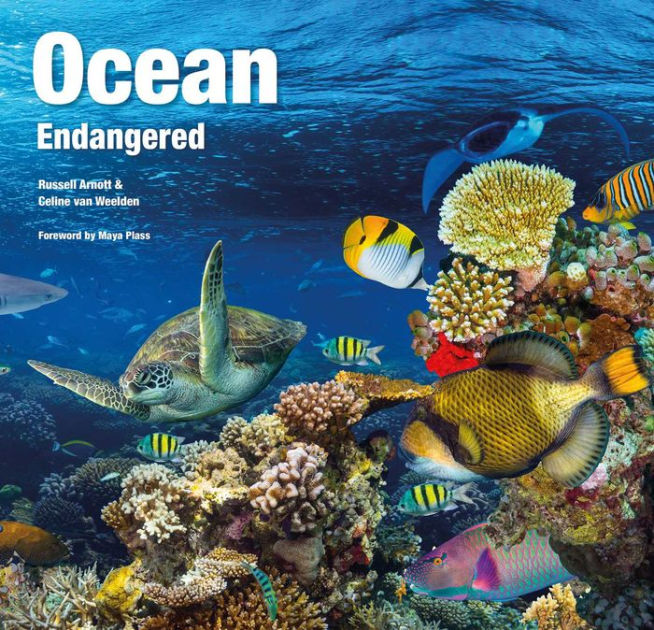 Ocean Endangered by Russell Arnott, Celine Van Weelden, Hardcover ...