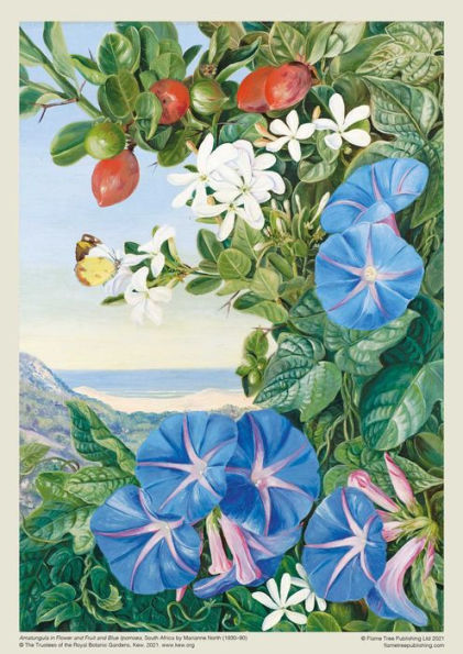 Adult Jigsaw Puzzle Kew: Marianne North: Amatungula and Blue Ipomoea, South Africa: 1000-Piece Jigsaw Puzzles