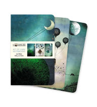 Title: Catrin Welz-Stein Set of 3 Mini Notebooks, Author: Flame Tree Studio