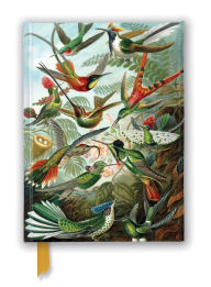 Title: Ernst Haeckel: Hummingbirds (Foiled Journal), Author: Flame Tree Studio