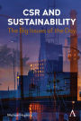 CSR and Sustainability: The Big Issues of the Day