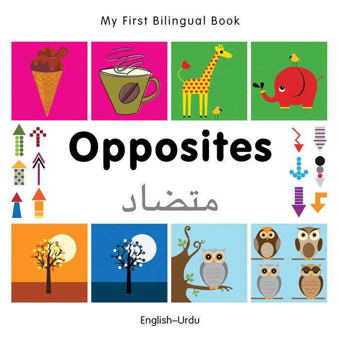 My First Bilingual Book-Opposites (English-Urdu)