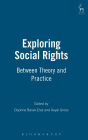 Exploring Social Rights: Between Theory and Practice