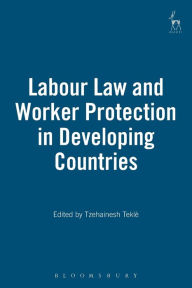 Title: Labour Law and Worker Protection in Developing Countries, Author: Tzehainesh Teklè